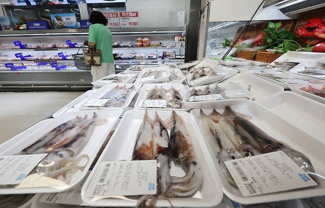 서울의 한 대형 마트에 오징어가 진열되어 있다.[연합]