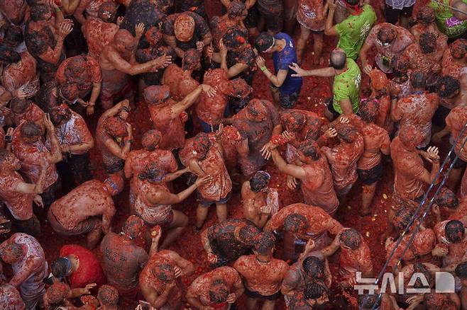 [부뇰=AP/뉴시스] 지난 27일(현지 시간) 스페인 발렌시아 인근 부뇰 마을에서 열린 연례 '라 토마티나' 축제 참가자들이 토마토 범벅이 된 채 축제를 즐기고 있다. 이 축제는 매년 8월 마지막 수요일에 열리며 1945년경, 마을 축제 도중 우연히 시작된 토마토 던지기에서 유래한 것으로 알려져 있다. 2025.08.29.