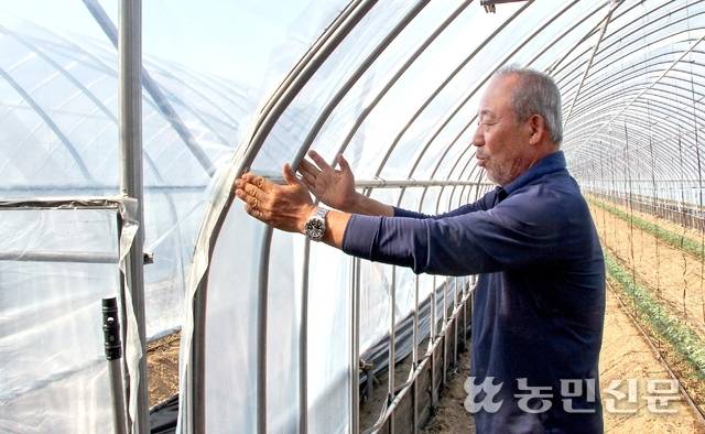 경기 평택에서 토마토·오이 농사를 짓는 정병헌씨가 폭설로 붕괴된 연동 하우스를 단동으로 복구하면서 가로 아치형 파이프 간격을 좁혀 배치한 이유를 설명하고 있다.