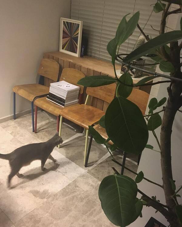 사진 지드래곤 인스타그램