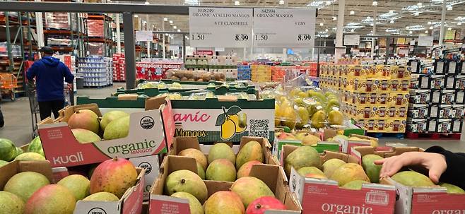 /사진=심재현 특파원