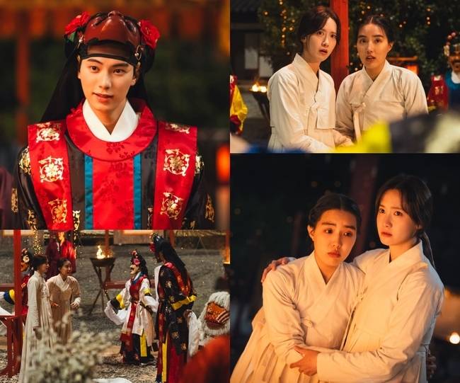 tvN ‘폭군의 셰프’ 제공