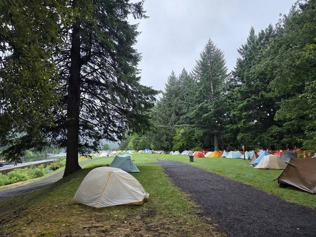 캠핑장 전경. 캠핑장은 파티와 휴식 구역으로 나뉘어 있었는데 이곳은 파티 구역으로 압도적으로 많은 수의 텐트가 자리했다.