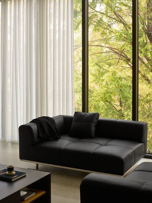 사진 잭슨카멜레온의 타탄