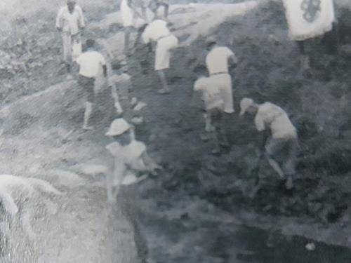 일하고 있는 보육원 아이들 이 사진은 첫 번째 피해증언자인 송준영 씨가 있었던 보육원 아이들의 노동 모습이다.
[고아권익연대 제공]