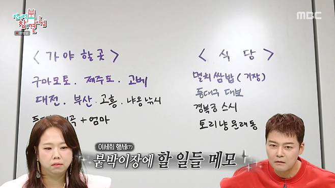 MBC '전지적 참견 시점'