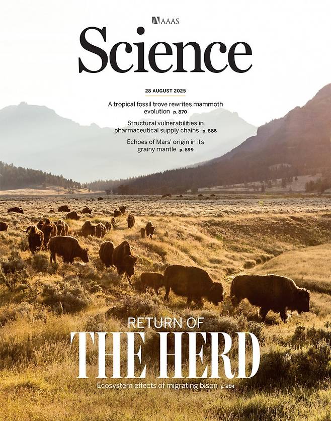 사이언스 제공.