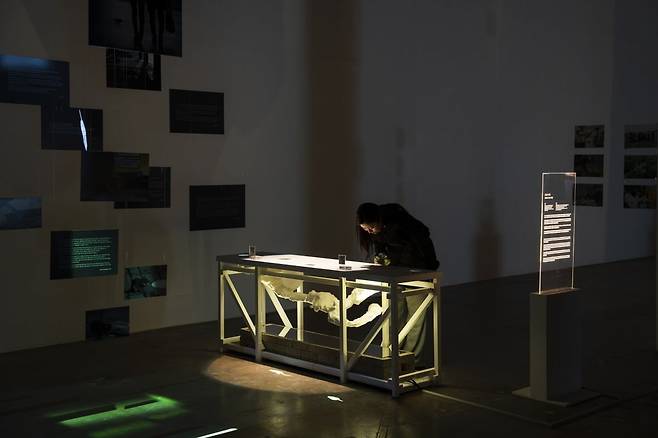 DLX 디자인 랩 x 수의행동학 연구소(도쿄대학교)(DLX Design Lab X Veterinary Ethology Lab), 도시 속 쥐(Rats in the City) (2025) /광주디자인비엔날레