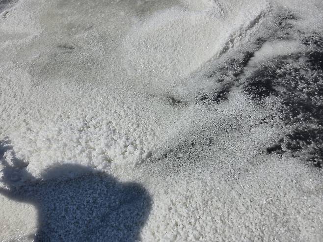 사진=안혜원 기자