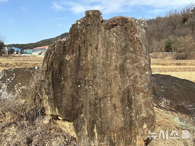 [포항=뉴시스] 송종욱 기자 = 경북 포항시 북구 기계면 인비리 일원의 고인돌(지석표) 5기를 '고인돌 축제'를 앞두고 행사장인 새마을운동 발상지로 옮겨 '문화재 훼손' 비난을 받고 있다. 사진은 인비리 고인돌 덮개돌에 새겨져 죽은 자의 권위와 신분을 상징하는 석검과 석촉의 암각화 모습. (사진=포항시 제공) 2025.08.31. photo@newsis.com