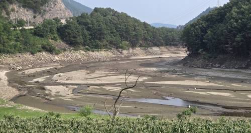 맨바닥 드러난 오봉저수지 [연합뉴스 제공]