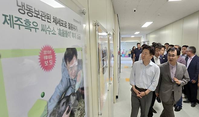 제주흑우연구센터 찾은 오영훈 도지사 [제주흑우연구센터 제공. 재판매 및 DB 금지]
