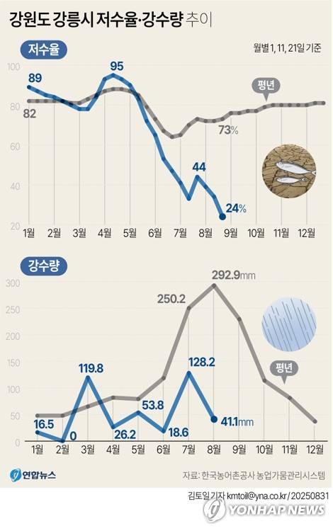 [그래픽] 강원도 강릉시 저수율·강수량 추이 (서울=연합뉴스) 김토일 기자 = 강원 강릉시가 전례 없는 최악 가뭄에 시달리는 가운데 생활용수의 87%를 공급하는 오봉저수지의 저수율이 물을 더 공급하기 어려울 정도로 떨어졌다.
    31일 한국농어촌공사 농촌용수종합정보시스템에 따르면 이날 오전 7시 40분께 오봉저수지 저수율은 14.9%로, 전날 15.3%에서 0.4%포인트 떨어졌다.
    kmtoil@yna.co.kr
    페이스북 tuney.kr/LeYN1 X(트위터) @yonhap_graphics