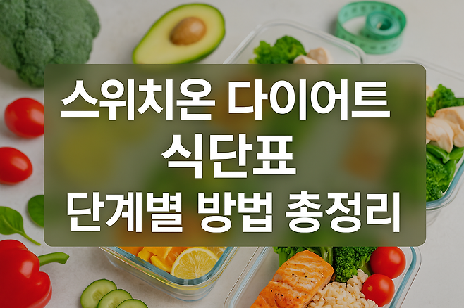 스위치온 다이어트 식단표