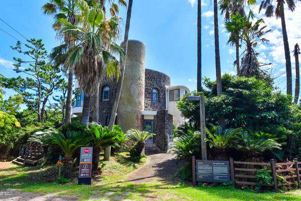 소라의 성 동쪽에서 바라본 건물 전경. 건물 주변은 야자수로 둘러싸여 있다. /제주일보=고봉수기자