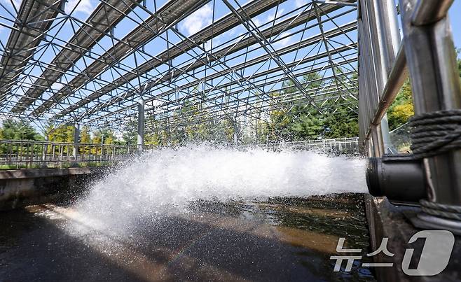 강원 강릉지역이 사회재난이 아닌 자연재난으로는 사상 첫 재난 사태 지역으로 선포됐다. 행정안전부는 30일 오후 7시부로 극심한 가뭄을 겪고 있는 강원 강릉시 일원에 재난사태를 선포했다. 31일 한국농어촌공사 농촌용수종합정보시스템에 따르면 이날 오전 7시 40분께 오봉저수지 저수율은 14.9%로, 전날 15.3%에서 0.4%포인트 떨어졌다. 식수 공급의 마지노선으로 여겨진 저수율 15% 선이 무너지면서 강릉시는 수도 계량기 75%를 잠그는 제한 급수를 본격적으로 시행한다. 31일 강원 강릉시 홍제정수장에서 전국에서 달려온 소방차들이 급수하고 있다. 2025.8.31/뉴스1 ⓒ News1 김성진 기자