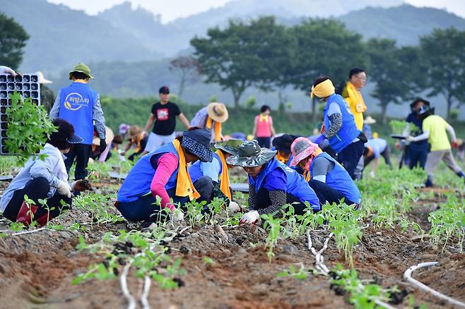 예비 귀농·귀촌인 농촌 체험 장면. /뉴스1