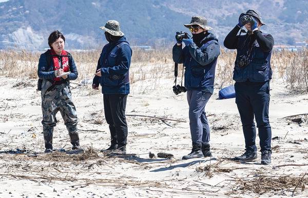 지난 4월 7일 부산 낙동강 하구 도요등에서 국제신문 취재팀이 낙동강하구에코센터 연구자들과 함께 쇠제비갈매기 번식지 모니터링을 진행하고 있다.  이원준 기자