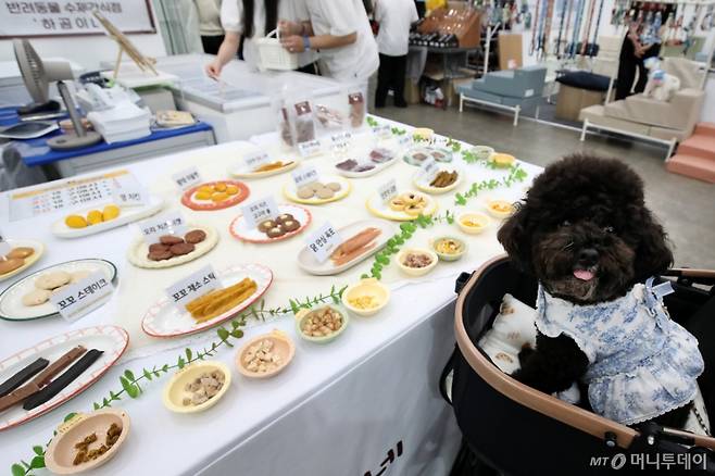 (대구=뉴스1) 공정식 기자 = 29일 대구 북구 엑스코(EXCO)에서 개막한 반려동물 산업 박람회 '2025 케이펫페어 대구'를 반려견이 시식 코너를 지나치지 못하고 있다.  31일까지 열리는 이번 전시에는 사료, 간식, 영양제, 의류, 유모차, 미용·위생 등 다양한 반려동물 용품 관련 업체 139개사가 참여한다. 사진은 기사 내용과 관련없음. 2025.8.29/뉴스1  Copyright (C) 뉴스1. All rights reserved. 무단 전재 및 재배포,  AI학습 이용 금지. /사진=(대구=뉴스1) 공정식 기자
