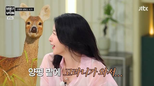 JTBC ‘냉장고를 부탁해 since 2014’ 캡처