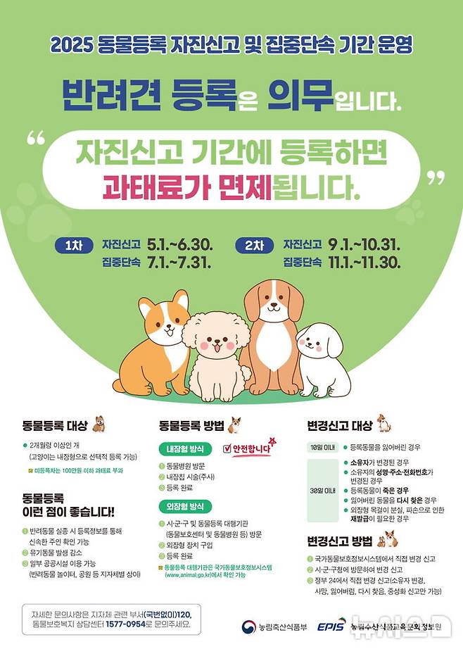 [포항=뉴시스] 송종욱 기자 = 포항시는 반려견 동물 등록을 활성화하고 관련 등록 정보를 현실화하기 위해 1일부터 다음 달 31일까지 '동물 등록 자진 신고 기간'을 운영한다. 사진은 동물 등록 자진 신고 기간 운영 홍보물. (사진=포항시 제공) 2025.09.01. photo@newsis.com