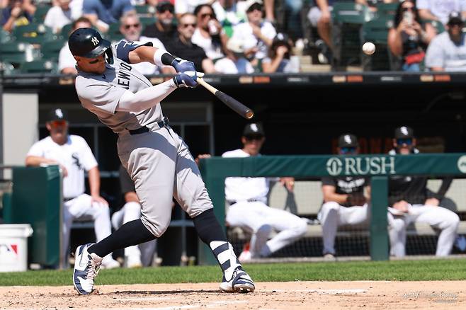 애런 저지. 사진=게티이미지코리아