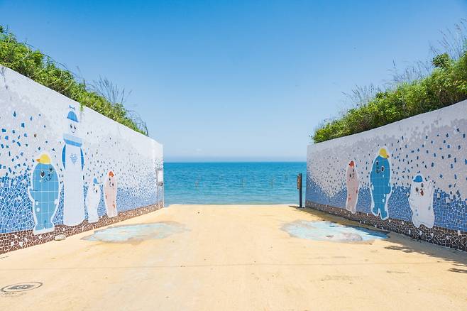 국내 유일의 점박이물범 서식지로 알려진 백령도 하늬해변