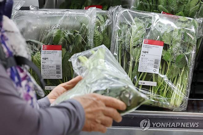 시금치 물가 78% 상승 (서울=연합뉴스) 임화영 기자 = 7월 폭염·폭우 영향으로 농산물 가격이 많이 오르면서 소비자물가가 두 달째 2%대 상승세를 이어갔다.
    통계청이 5일 발표한 '7월 소비자물가동향'을 보면 지난 달 소비자물가지수는 116.52(2020년=100)로 1년 전보다 2.1% 올랐다.
    전달과 비교하면 시금치(78.4%), 배추(25.0%), 상추(30.0%) 등 채소류 물가 상승세가 두드러졌다.
    사진은 5일 서울 시내 한 대형마트에 진열된 시금치. 2025.8.5 hwayoung7@yna.co.kr