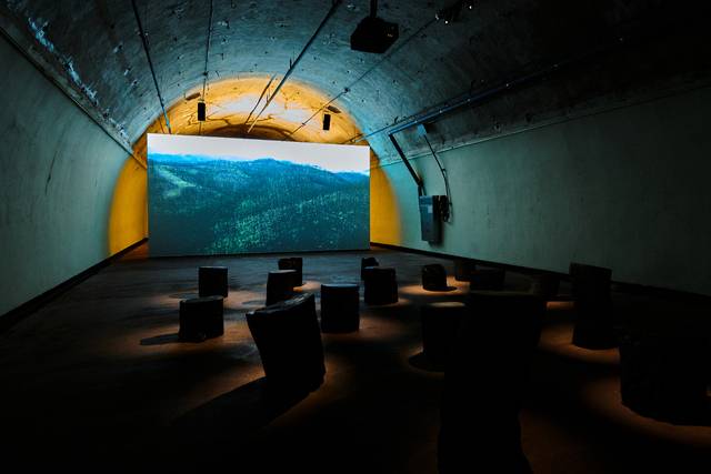 ▲ 장민승+정재일 作, 상림, 2014(2025년 재제작)