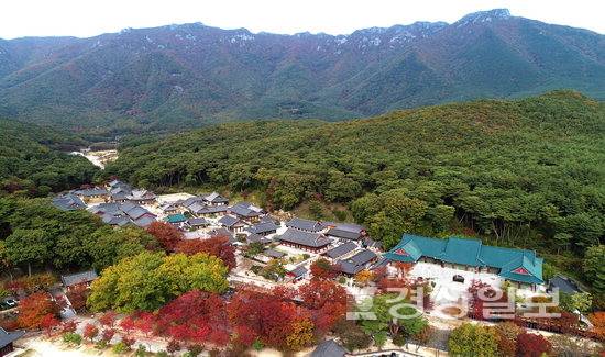 ▲ 경내에 문화공간 건립을 추진 중인 양산 통도사 전경.