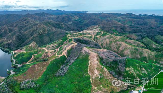 2022년 발생한 울진 산불 피해 지역을 찾은 지난 14일, 산불이 발생한 . 지 3년이 지났지만 여전히 민둥산으로 남아있다. 안성완 기자 asw0727@imaeil.com