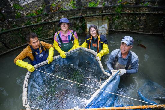 FAO 세계중요농업유산(GIAHS) 현장 실사단이 죽방렴 어업현장을 직접 체험하고 있다.