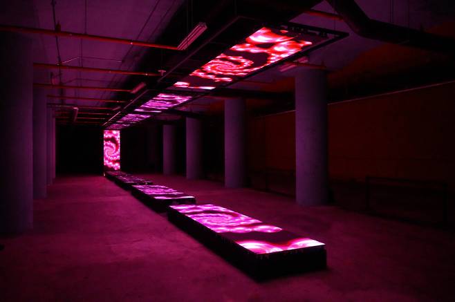 2025 서울패션로드, ‘SECOND SKIN: 패션과 AI, 그리고 빛’ 전시 개막&nbsp;&nbsp;