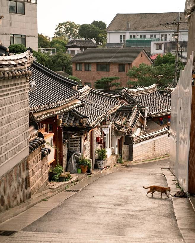 인스타그램 @visitseoul_official