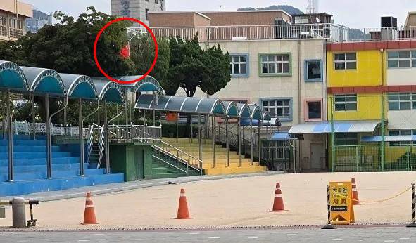 청파초등학교에 오성홍기가 게양된 모습. 학교 측은 태극기와 오성홍기가 같이 게양됐으나 각도 상 보이지 않았다고 해명했다. (출처=스레드 캡처)