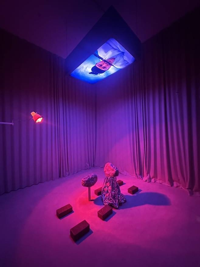 임영주 작가의 '칼을 입에 물고 거울을 보면 미래가 보입니다'. 화장실에서 칼을 입에 문 채로 거울을 보면 미래 배우자의 얼굴을 볼 수 있다는 속설에서 착안한 작품으로 인공지능으로 만든 얼굴이 노화와 회춘을 거듭한다. /강은영