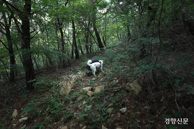 상만이가 수색 훈련 중 구조대상자를 발견하고 확인을 위해 다가서고 있다.