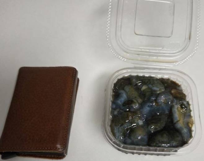 부산 한 횟집이 시가로 표기된 해삼 2~3마리를 7만원에 판매해 바가지 논란이 불거졌다. /사진=온라인 커뮤니티