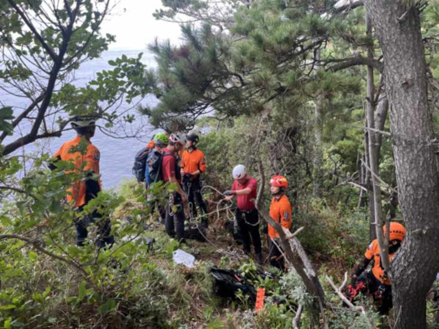 2일 오전   울릉군 서면 태하리 약 100m 해안 절벽 아래에서  구조대가 구조작업을 펼치고 있다. [포항 남부소방서 울릉119안전센터제공]