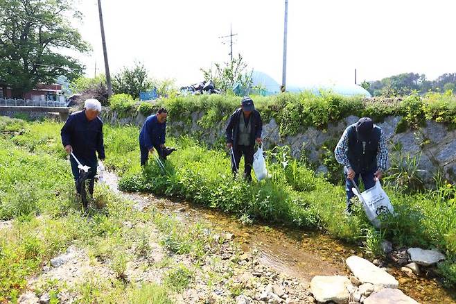 [계룡=뉴시스]계룡시니어클럽의 생태천지킴이 어르신들이 계룡지역 하천에서 쓰레기를 줍고 있다. 2025. 09. 02 photo@newsis.com *재판매 및 DB 금지