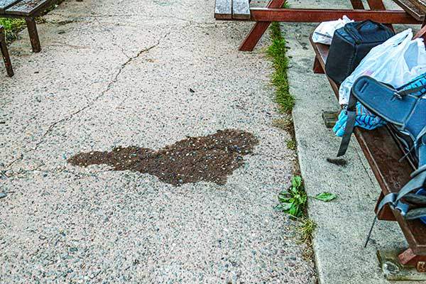 아침을 먹고 떠난 탐방객들의 자리에 설거지를 한 흔적이 남아 있다.