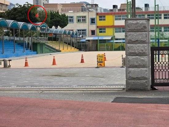 최근 서울 용산구의 한 초등학교에 중국 국기인 '오성홍기'가 걸린 사진이 사회관계망서비스(SNS)를 중심으로 확산했다. X캡처