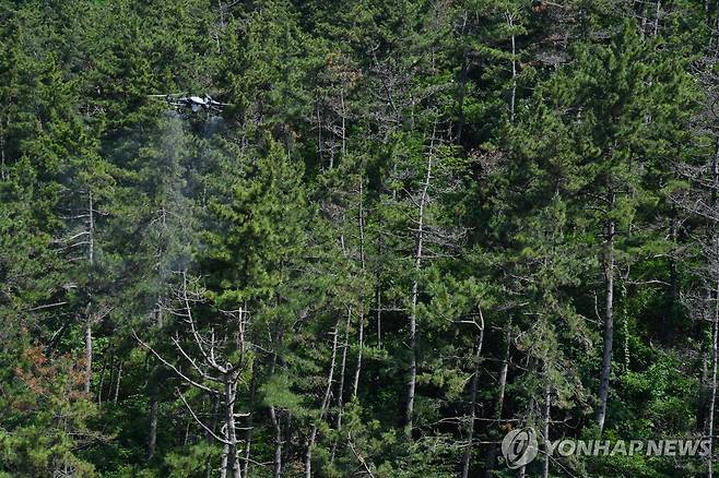 울산 소나무재선충병 드론 방제  [울주군 제공. 재판매 및 DB 금지]