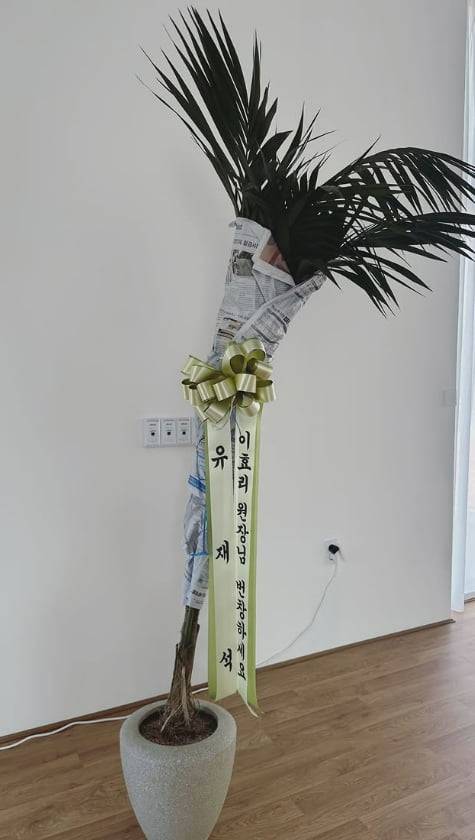 사진 = 아난다 요가 공식 SNS 캡처