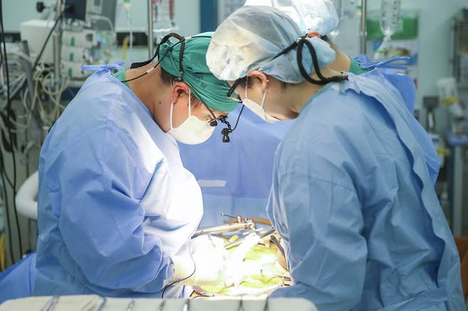 서울아산병원 장기이식센터 의료진의 장기이식 수술 장면. 국내 의료진도 심장·간·신장 등 3종 장기이식 수술 역량을 갖췄다는 평가가 많지만, 이 고난도 수술이 실제로 이뤄지지는 않았다.  [사진=서울아산병원]