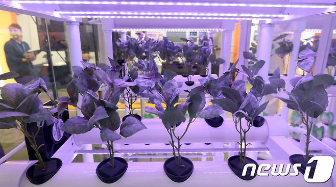 (사진은 기사 내용과 무관함) / 뉴스1 ⓒ News1자