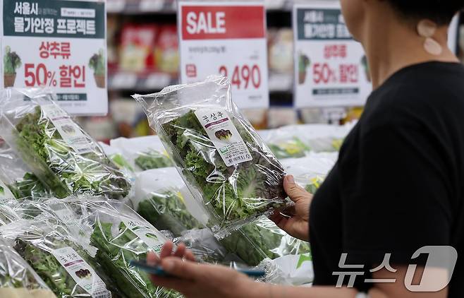 서울 시내 한 SSM 매장에 상추가 진열돼 있다.(사진은 기사 내용과 관련이 없음). 2024.8.7/뉴스1 ⓒ News1 김성진 기자