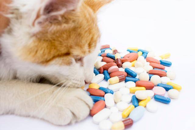 게티이미지뱅크