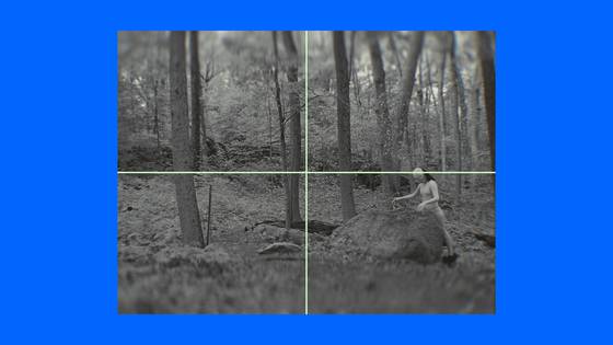 임영주, Calming Signal, 2023/2025, 3채널 영상 설치. 컨셉 이미지. 사진 프리즈 서울 제공