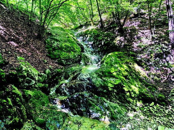 강림골의 4.5m 와폭 가운데 하얀 암반이 파였는데 선녀탕이다.